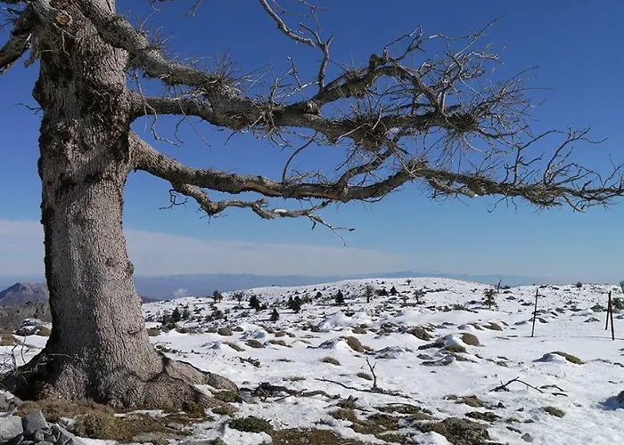 Amaranta Boutique Hotel 3*