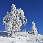 Amaranta Boutique 3*