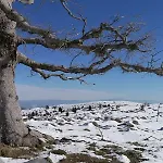 Amaranta Boutique Отель 3*