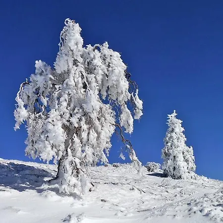 Amaranta Boutique 3*