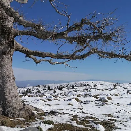 Amaranta Boutique Hotel 3*