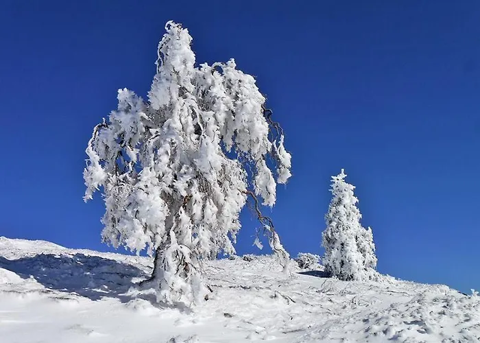 Amaranta Boutique 3*